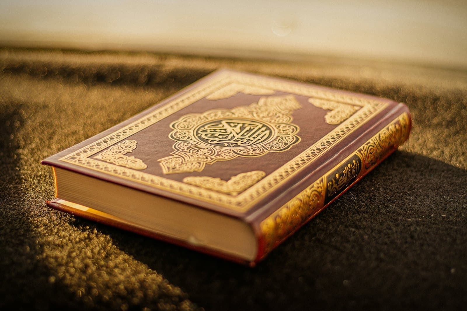 Expert Quran Tutors